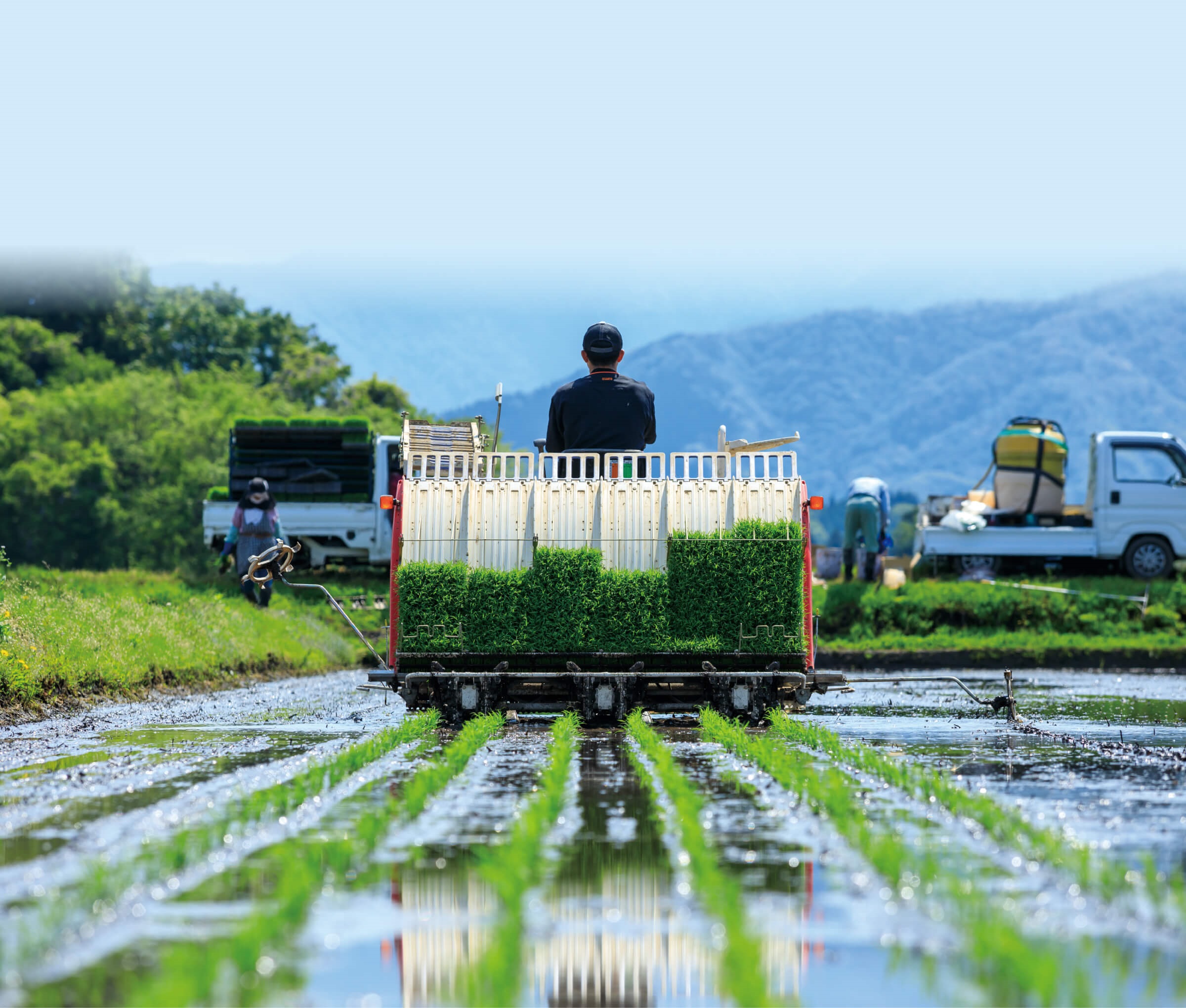 農作物の生産・販売